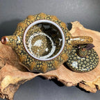 Brown Partridge Jian Zhan Tenmoku Lantern Teapot