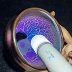 Buttterfly Wing Jian Zhan Tenmoku Tea Cup